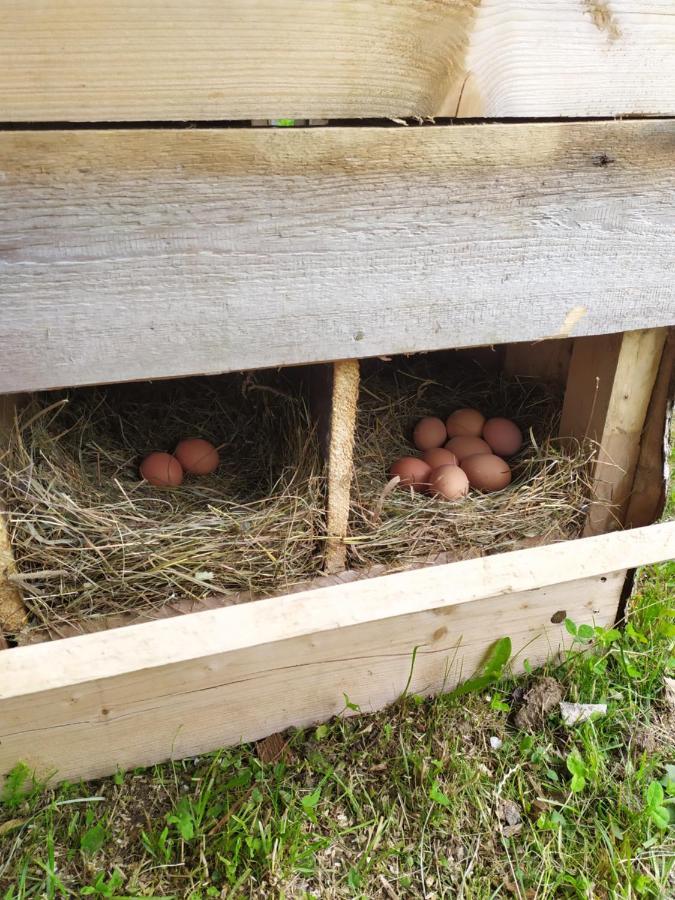 Вилла Tourist Farm Strle With Great Local Food Церкница Экстерьер фото