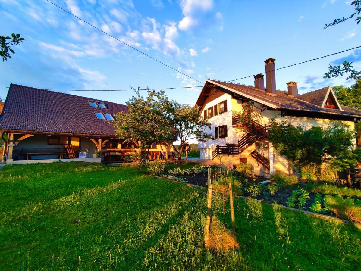 Вилла Tourist Farm Strle With Great Local Food Церкница Экстерьер фото