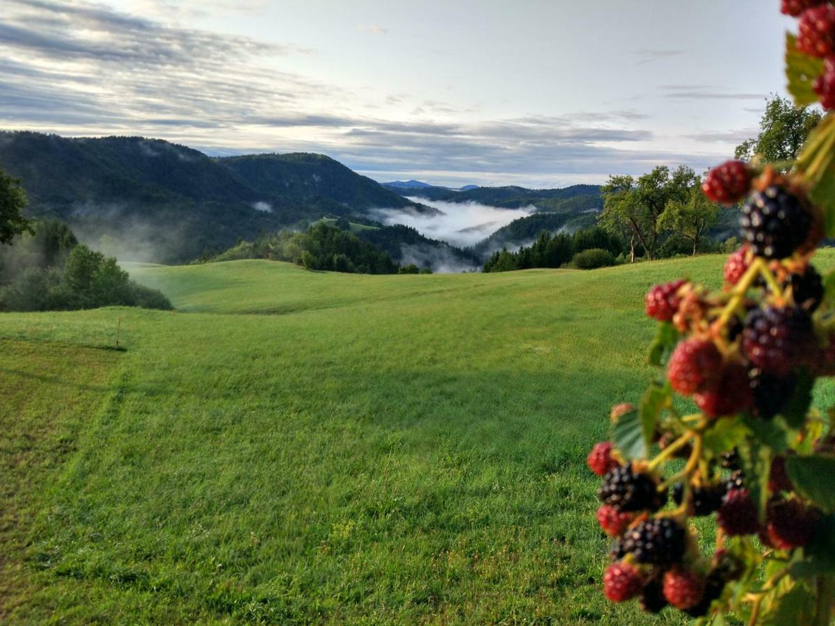 Вилла Tourist Farm Strle With Great Local Food Церкница Экстерьер фото