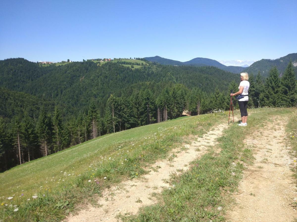 Вилла Tourist Farm Strle With Great Local Food Церкница Экстерьер фото